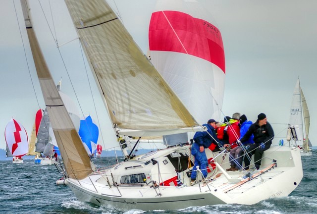 Terremoto blindly stumbles in dark to finish first in Smith Island Race
