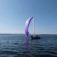 Terremoto wins both days of Race to the Straits